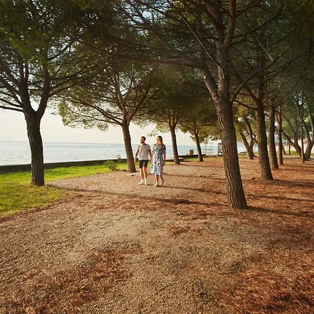 Adria - Pitches * 안카란