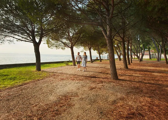 Adria - Pitches * Ancarano